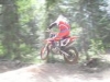 Picture of Darinmoto